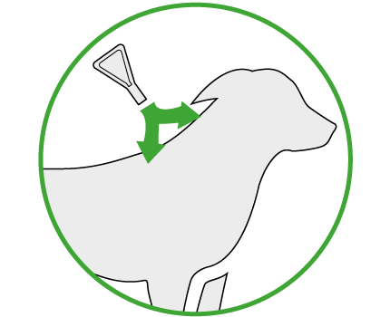 FRONTLINE Combo Wirkung