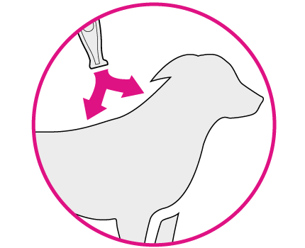 FRONTLINE Tri-Act Wirkung