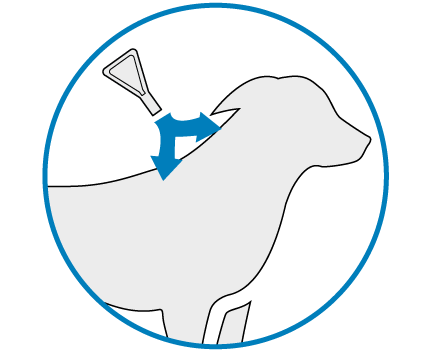 FRONTLINE Spot On Wirkung