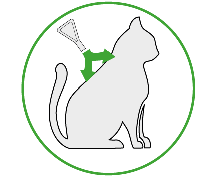 FRONTLINE Combo Katze Wirkung