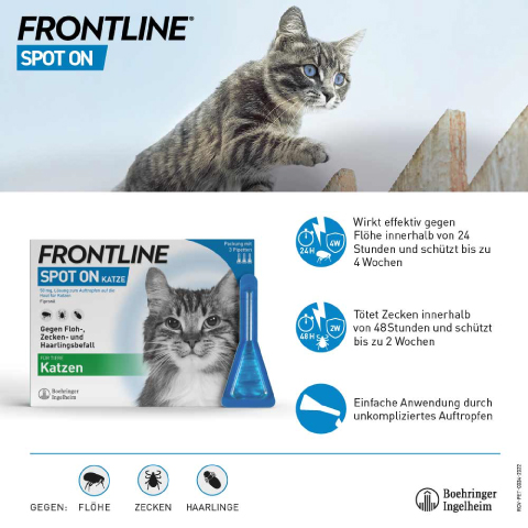 Frontline SpotOn Katze USP