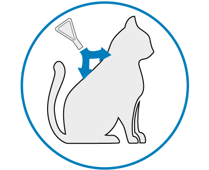 FRONTLINE Spot On Katze Wirkung