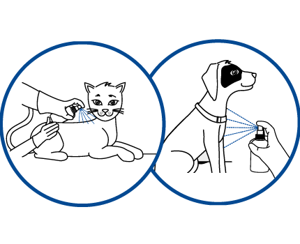 FRONTLINE Spray Auftragen