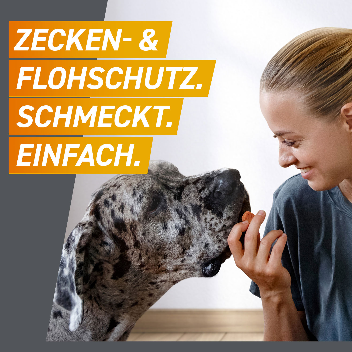 Schmackhafter, einfacher Floh- und Zeckenschutz